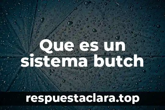 Qué es el significado de antrax 7 Que es un sistema butch