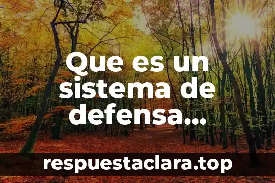 Que es significa nacional 3 Que es un sistema de defensa nacional