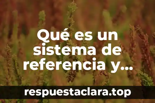 Qué es un sistema de referencia y cuantos tipos hay