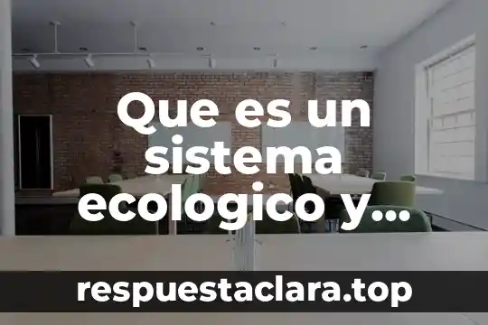 Que es un sistema ecologico y describe su clsificacion