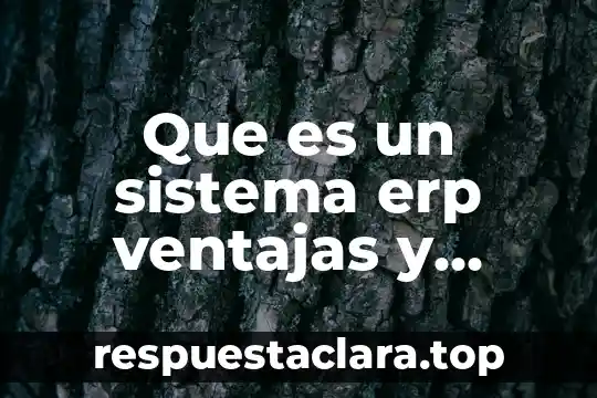 Que es un sistema erp ventajas y desventajas