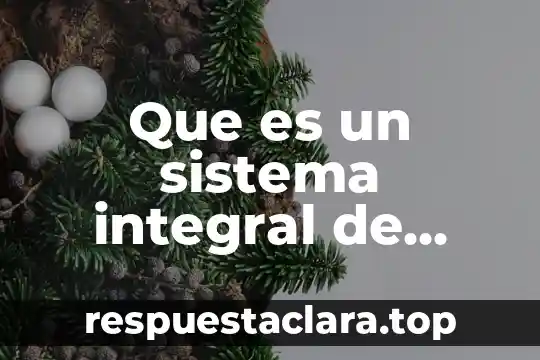 Que es un sistema integral de alumnos