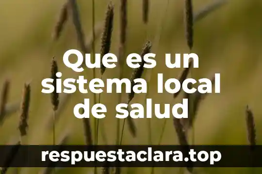 Que es un sistema local de salud
