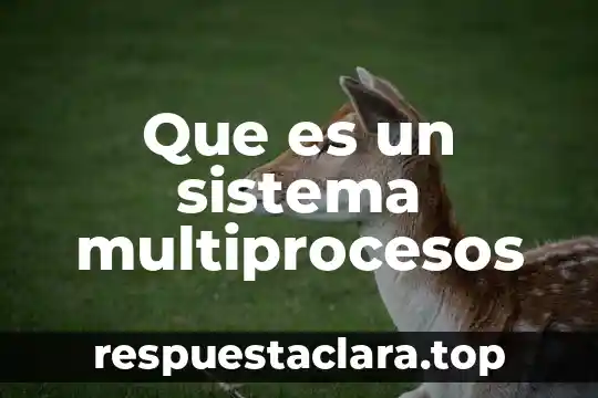 Que es un sistema multiprocesos