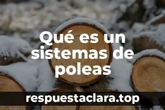 Qué es un sistemas de poleas