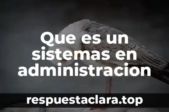 Que es un sistemas en administracion