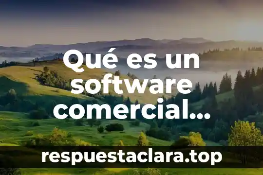 Qué es un software comercial ejemplos