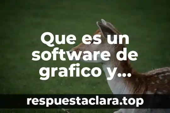 Que es un software de grafico y diseño