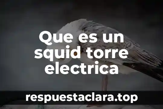 Que es un squid torre electrica