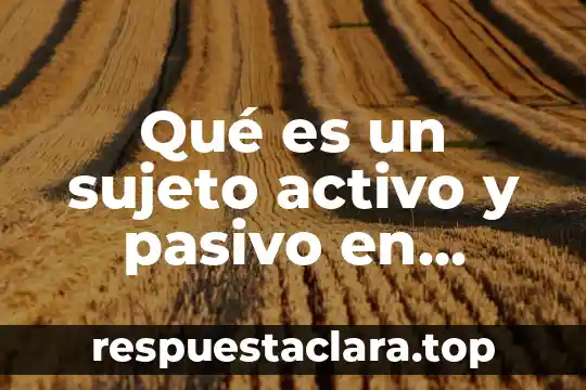 Qué es un sujeto activo y pasivo en derecho