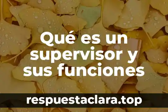 Qué es un supervisor y sus funciones