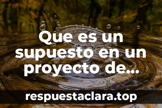 Que es un supuesto en un proyecto de investigacion