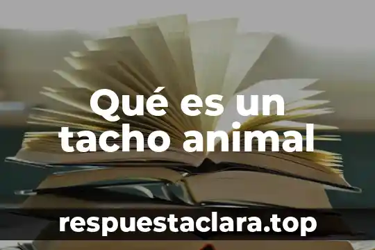 Qué es un tacho animal