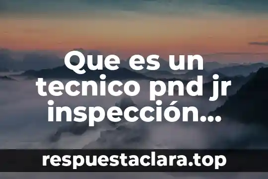 Que es un tecnico pnd jr inspección visual