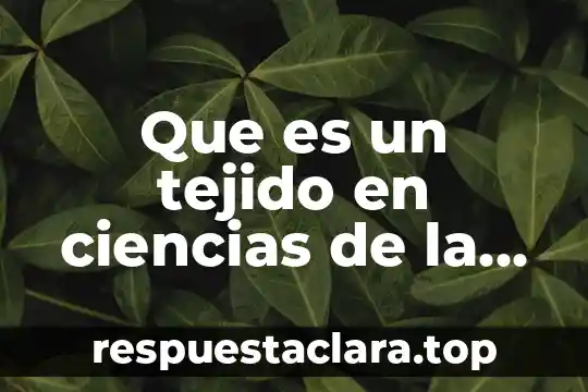 Que es un tejido en ciencias de la salud