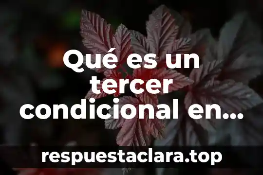 Qué es un tercer condicional en inglés