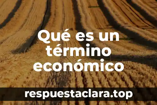 Qué es un término económico