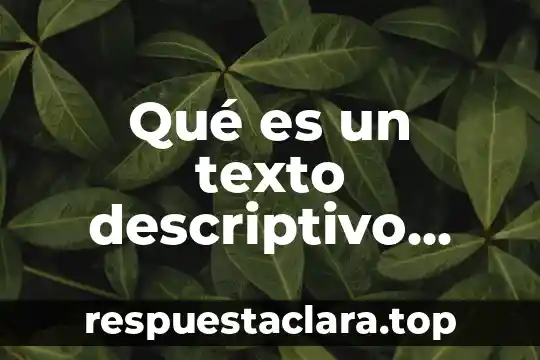 Qué es un texto descriptivo formal