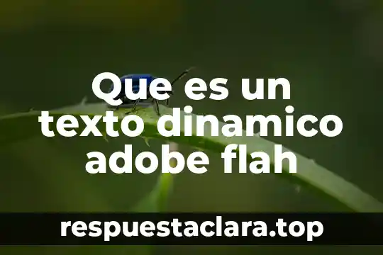 Que es un texto dinamico adobe flah