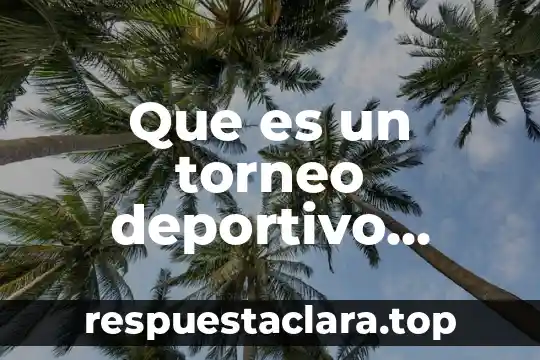 Que es un torneo deportivo segun el autor