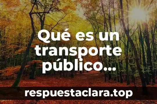 Qué es un transporte público eficiente