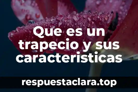 Que es un trapecio y sus caracteristicas