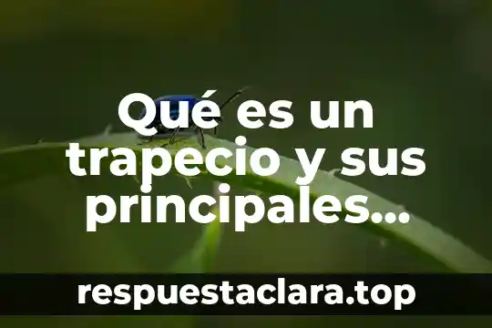 Qué es un trapecio y sus principales características