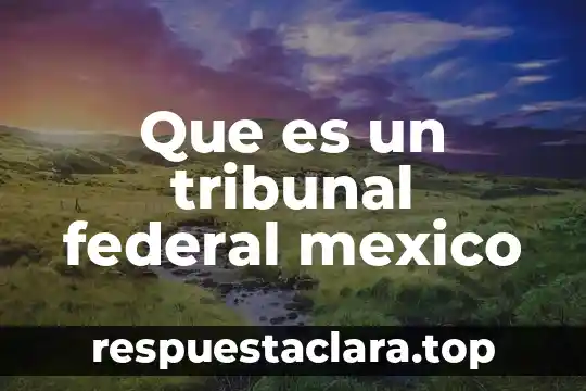 Que es un grupo paramilitar en mexico 3 Que es un tribunal federal mexico
