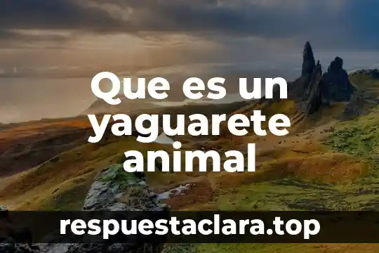 Que es un prisma area y volumen como se calcula 5 Que es un yaguarete animal