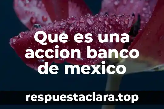 Que es una accion banco de mexico