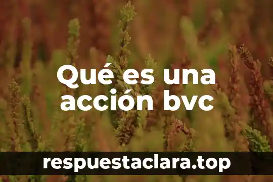 Qué es una acción bvc
