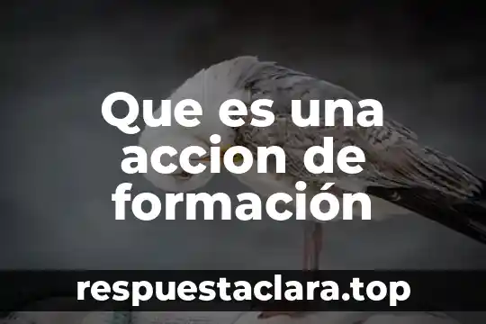 Que es una accion de formación