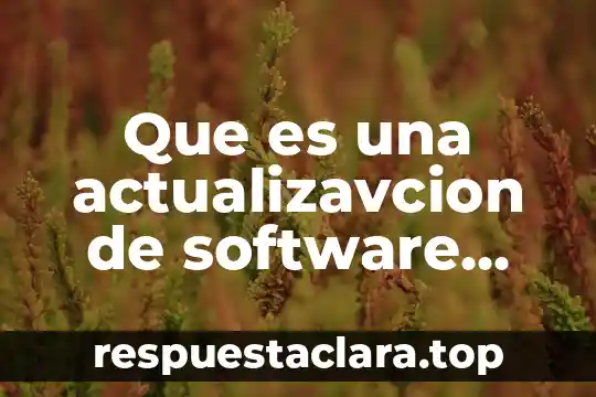 Que es una actualizavcion de software contable