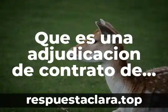Que es nombre del contrato 6 Que es una adjudicacion de contrato de obra