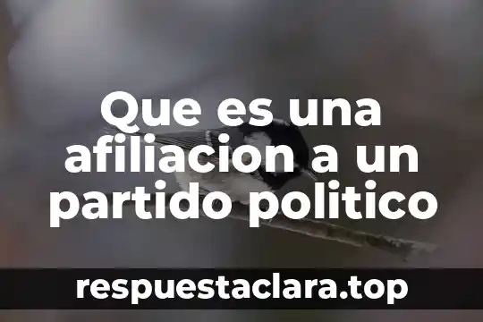 Que es una afiliacion a un partido politico
