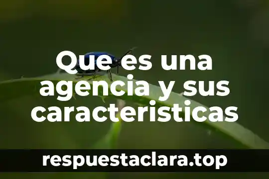 Que es una agencia y sus caracteristicas