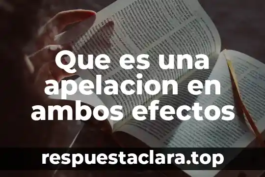 Que es una apelacion en ambos efectos