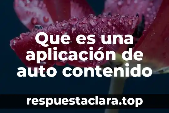 Que es una aplicación de auto contenido