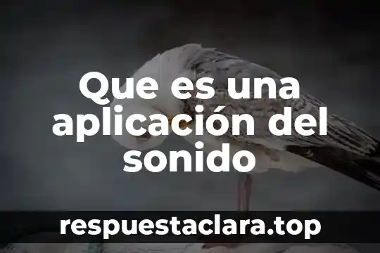 Que es una aplicación del sonido