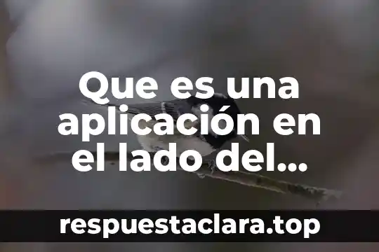 Que es una aplicación en el lado del cliente