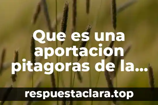 Que es una aportacion pitagoras de la musica