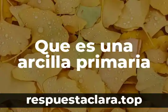 Que es una arcilla primaria