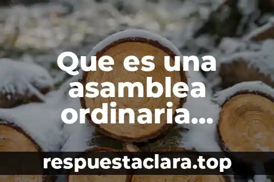 Que es ser un lider y sus caracteristicas 5 Que es una asamblea ordinaria caracteristicas