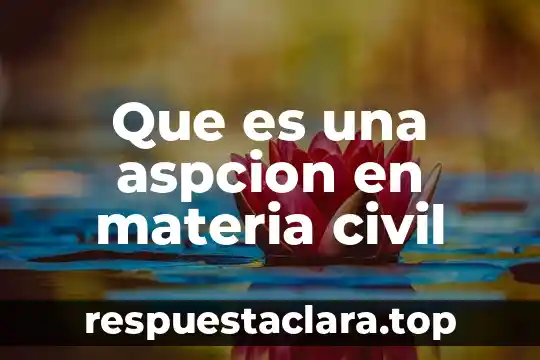Que es una aspcion en materia civil