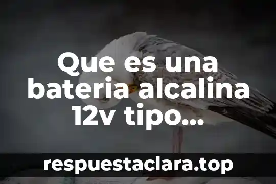 Que es una bateria alcalina 12v tipo cilindro