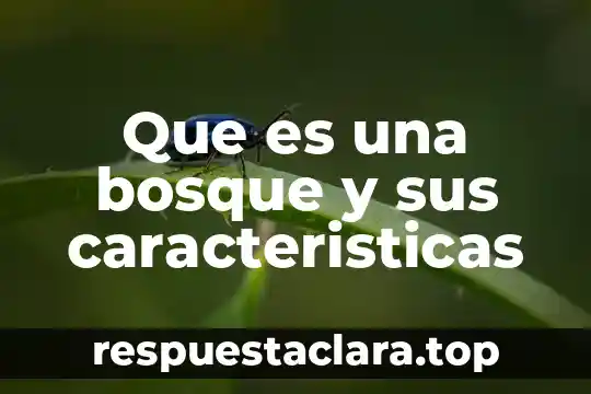 Qué es una ficha bibliográfica significado concepto y características 6 Que es una bosque y sus caracteristicas