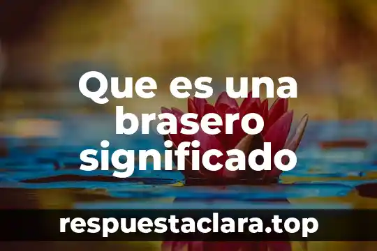 Qué es el sistema de arranque de un vehículo significado 4 Que es una brasero significado