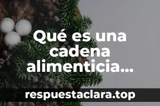 Qué es una cadena alimenticia concepto