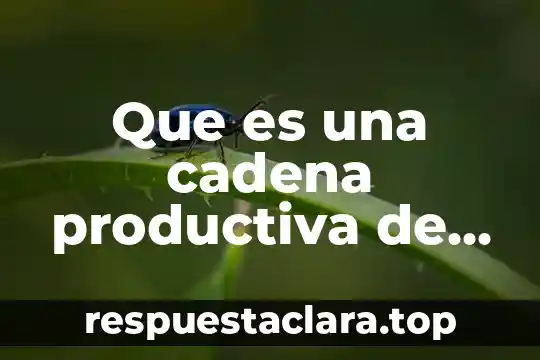 Que es una cadena productiva de un avion