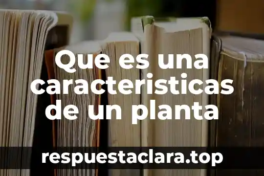 Que es una caracteristicas de un planta